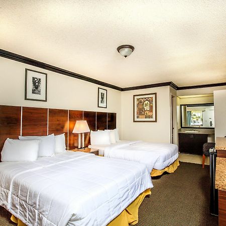 Budget Host Inn Florida City Eksteriør billede